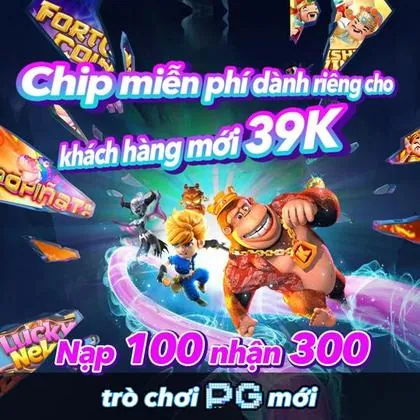 D11 D11